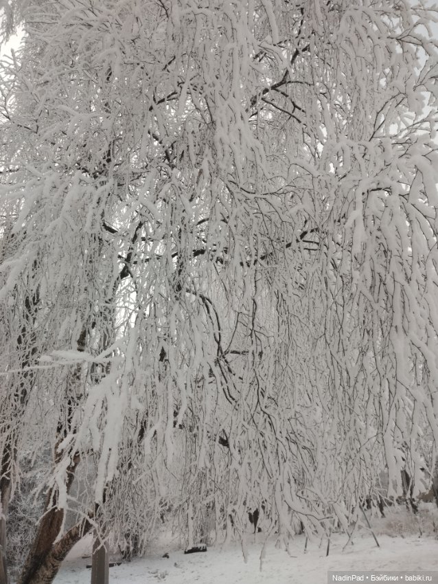 Просто Зима — Интересное обо всем: поздравления