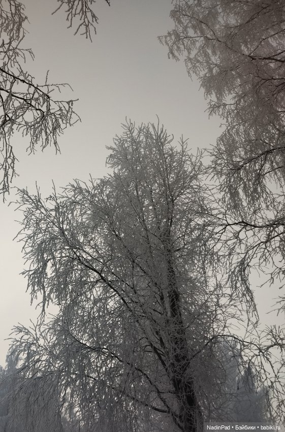 Просто Зима — Интересное обо всем: поздравления (фото 7)