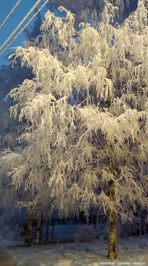 Просто Зима — Интересное обо всем: поздравления (фото 10)