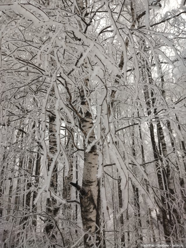 Просто Зима — Интересное обо всем: поздравления