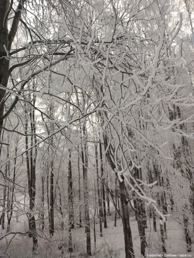 Просто Зима — Интересное обо всем: поздравления