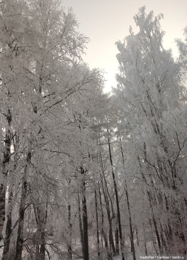 Просто Зима — Интересное обо всем: поздравления (фото 5)