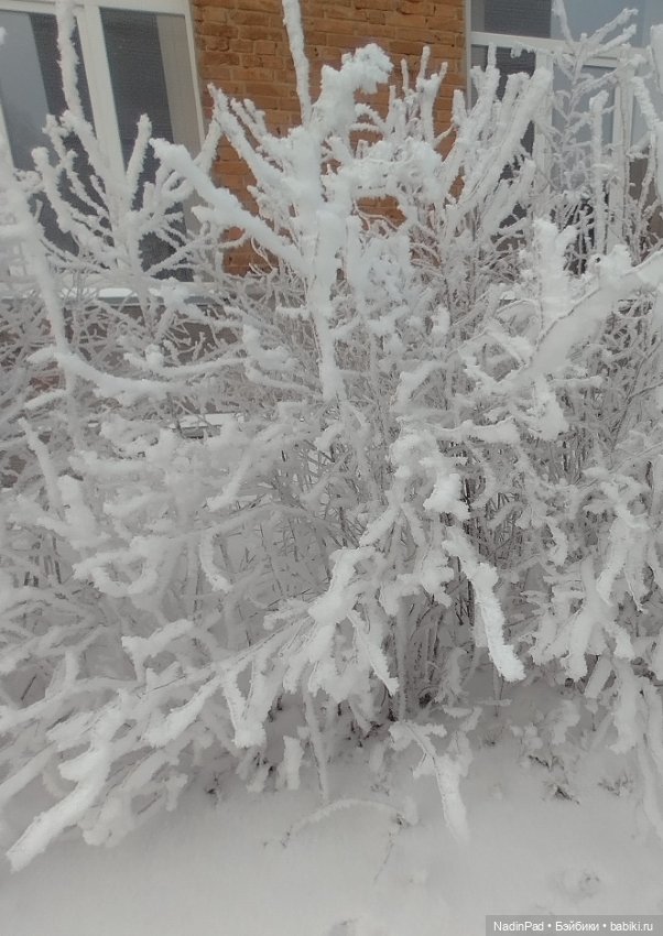 Просто Зима — Интересное обо всем: поздравления (фото 9)