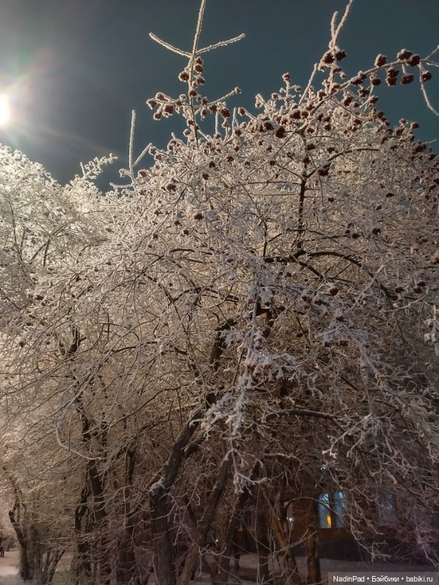 Просто Зима — Интересное обо всем: поздравления (фото 2)