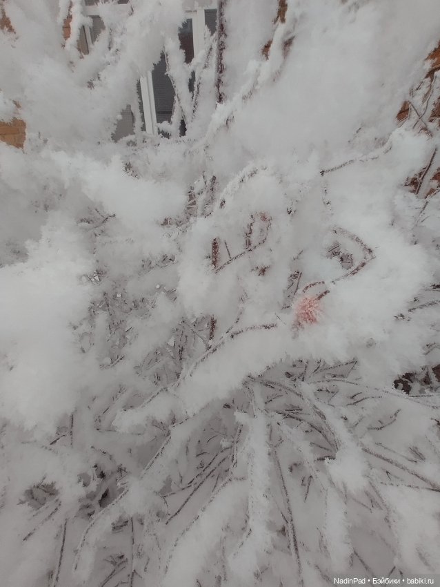 Просто Зима — Интересное обо всем: поздравления