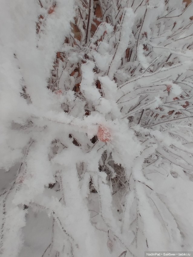 Просто Зима — Интересное обо всем: поздравления