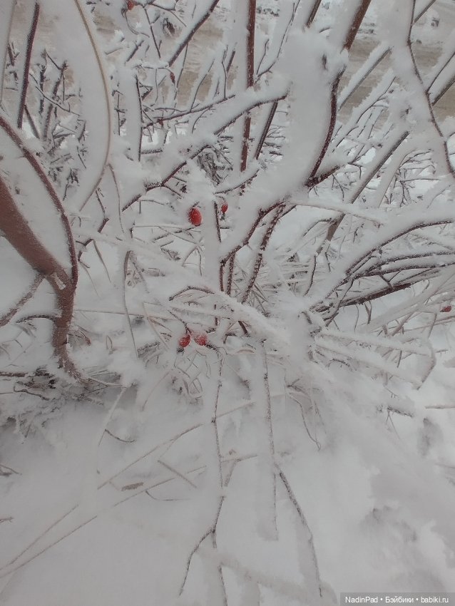 Просто Зима — Интересное обо всем: поздравления