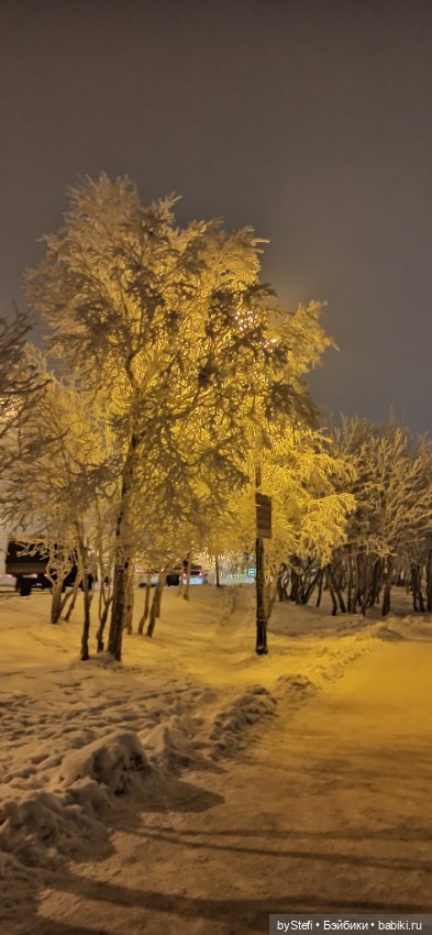 Прогуляемся? 28.11.2022 — Красивая природа и цветы: фото пейзажей