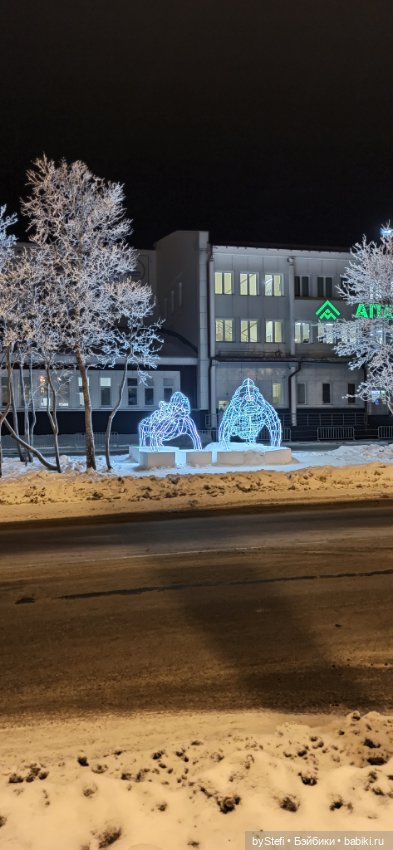 Прогуляемся? 28.11.2022 — Красивая природа и цветы: фото пейзажей