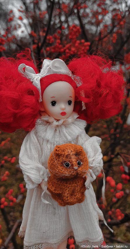 Ноябрь горит — Азиатские виниловые куклы (разное): Китай