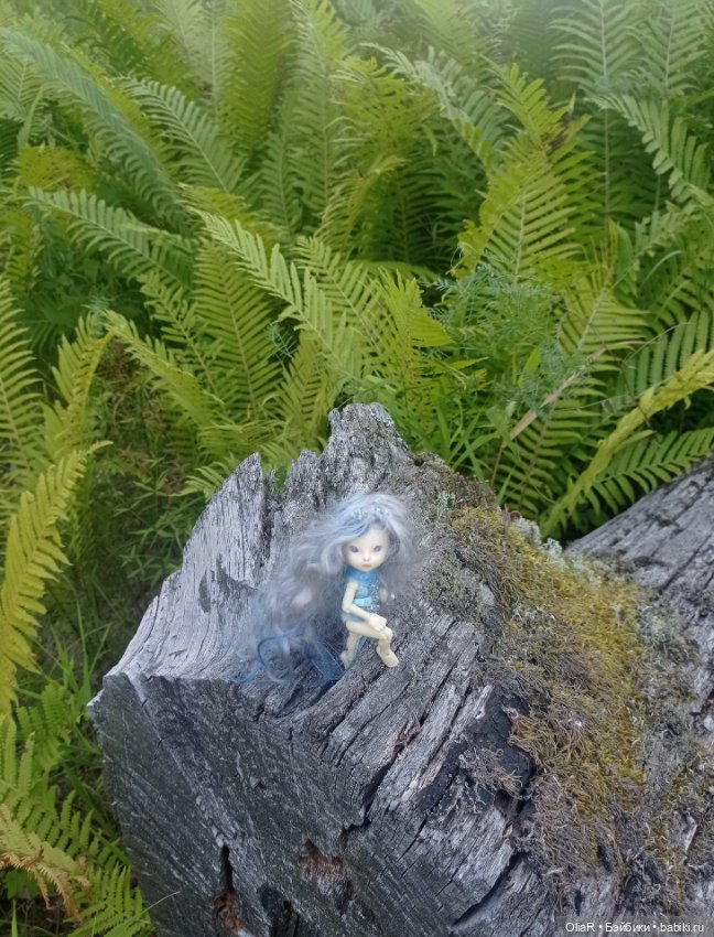 Не ходите Эльфийскими Тропами (часть ll) или воспоминания о Тёплой Осени (фото 4)