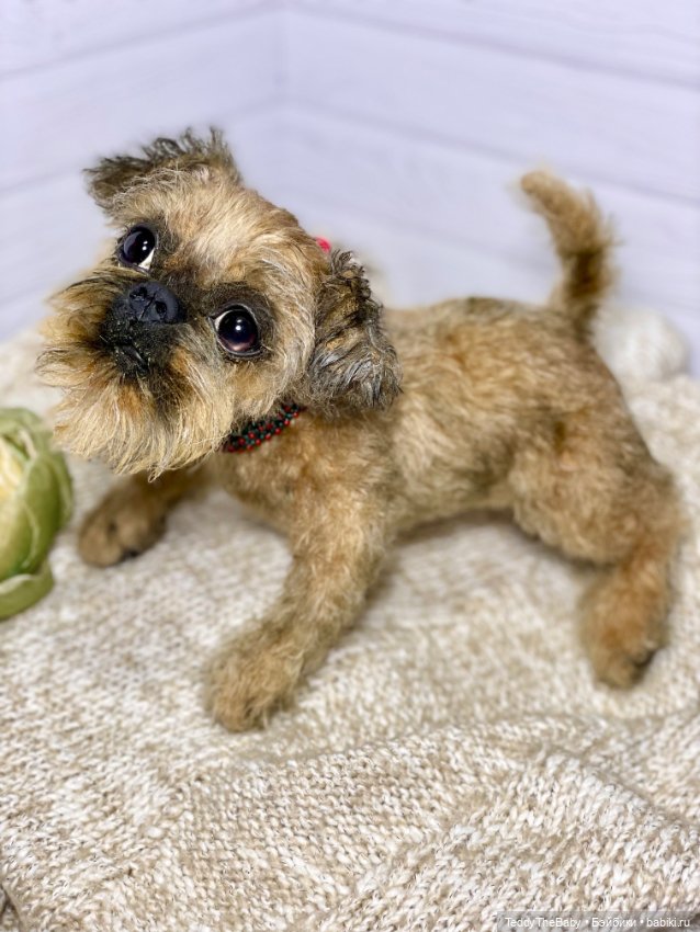 Голди 🐶 — Реалистичные игрушки и звери (Натюр): собаки