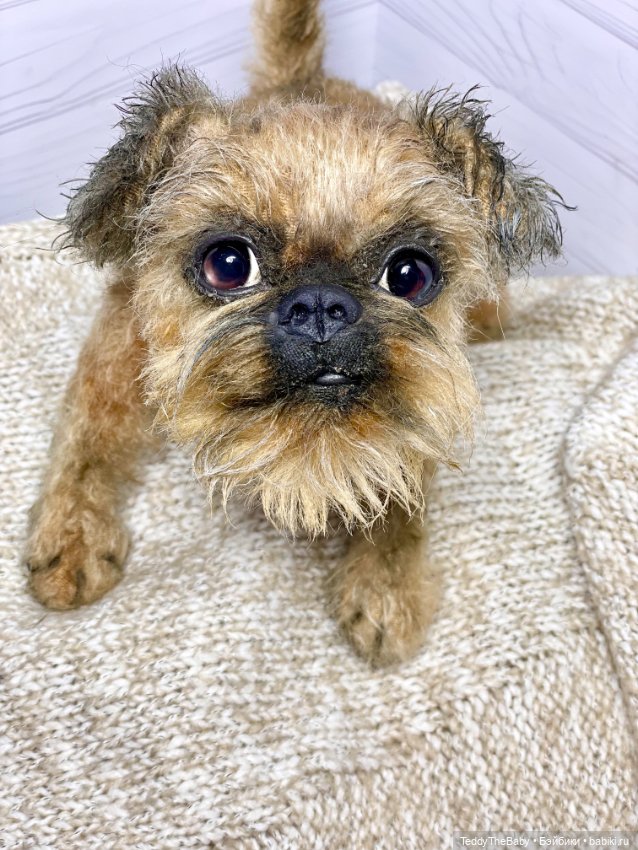 Голди 🐶 — Реалистичные игрушки и звери (Натюр): собаки