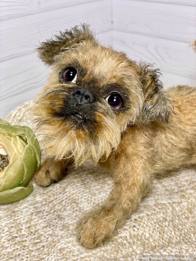 Голди 🐶 — Реалистичные игрушки и звери (Натюр): собаки