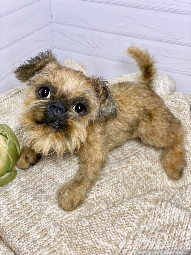 Голди 🐶 — Реалистичные игрушки и звери (Натюр): собаки