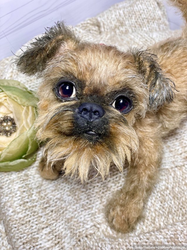 Голди 🐶 — Реалистичные игрушки и звери (Натюр): собаки