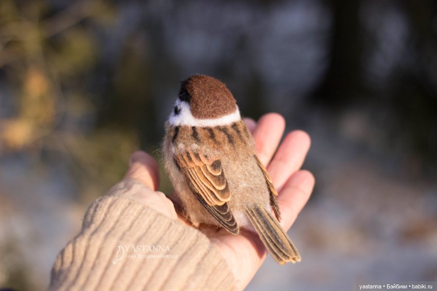 Птички — Валяные игрушки из шерсти: сухое валяние