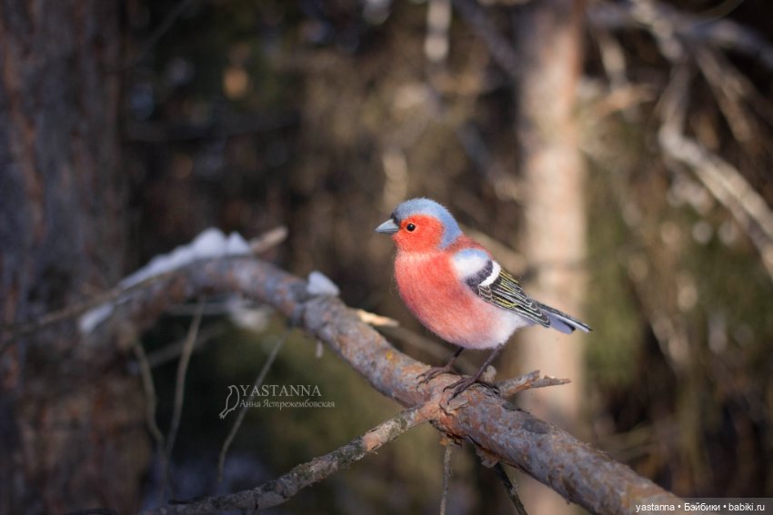 Птички — Валяные игрушки из шерсти: сухое валяние