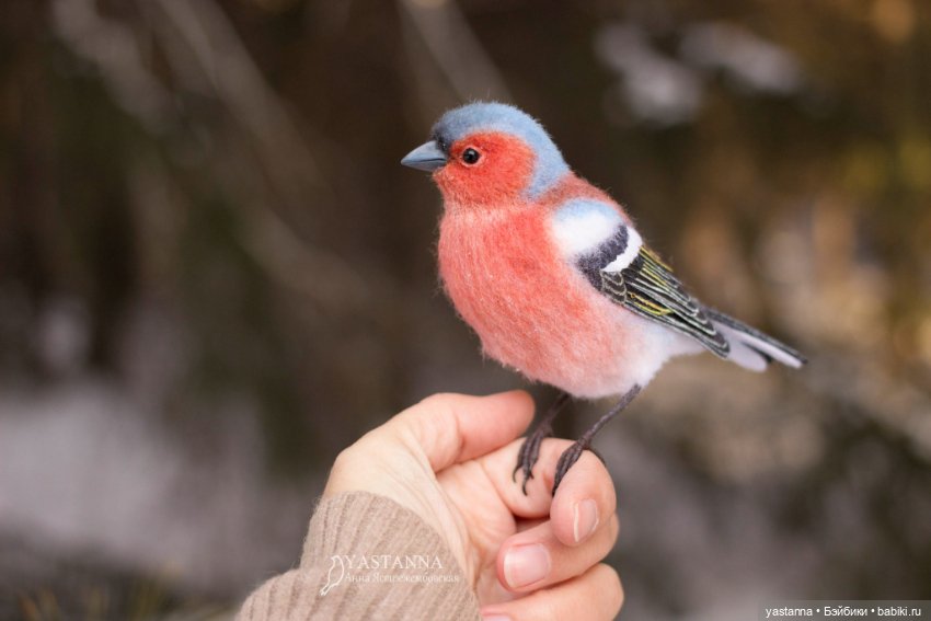 Птички — Валяные игрушки из шерсти: сухое валяние