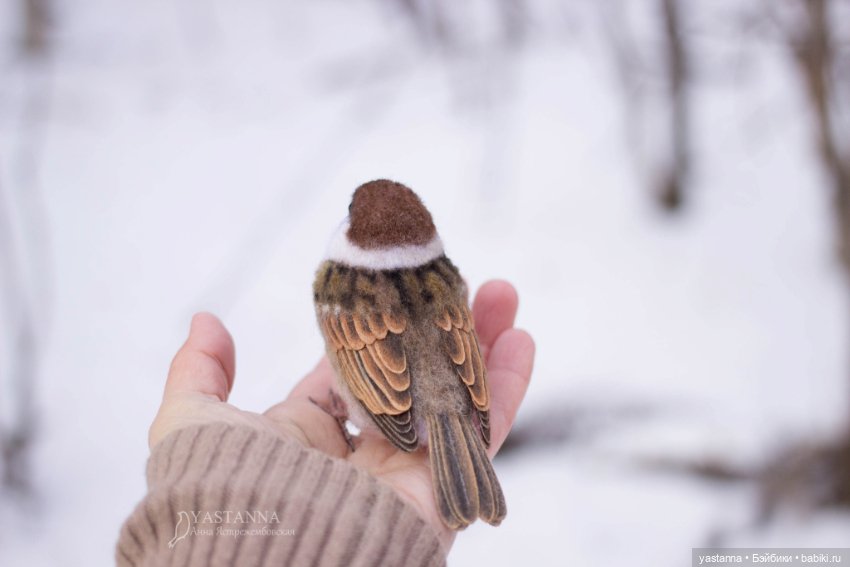 Птички — Валяные игрушки из шерсти: сухое валяние