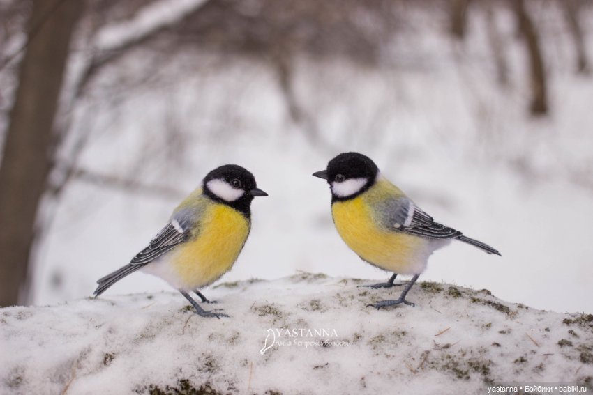 Птички — Валяные игрушки из шерсти: сухое валяние (фото 3)