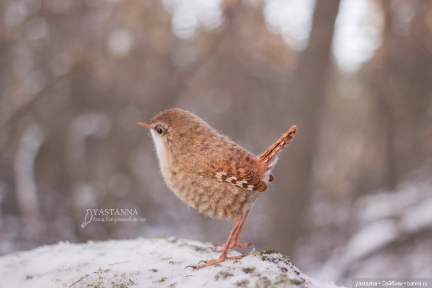 Птички — Валяные игрушки из шерсти: сухое валяние