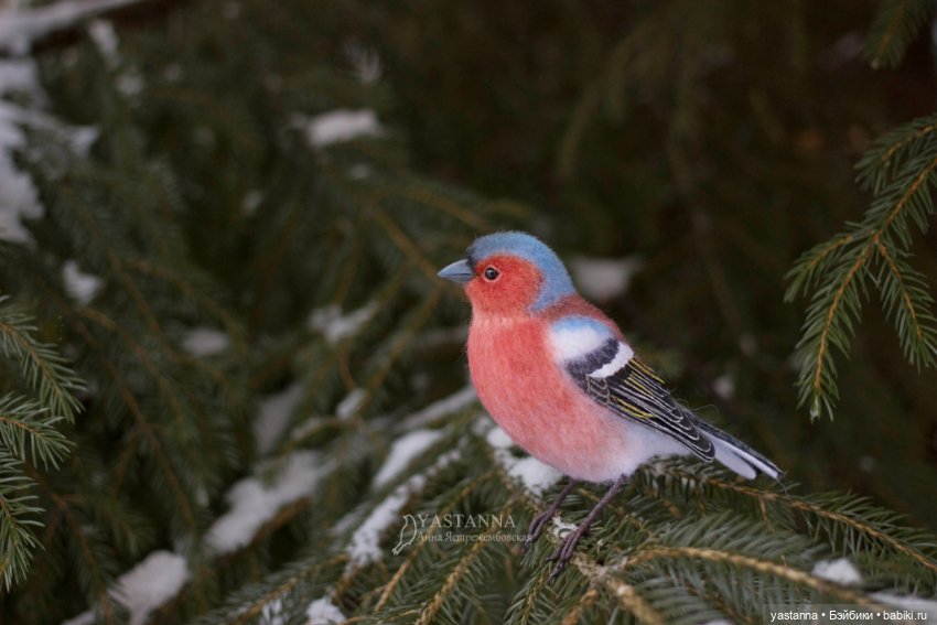 Птички — Валяные игрушки из шерсти: сухое валяние