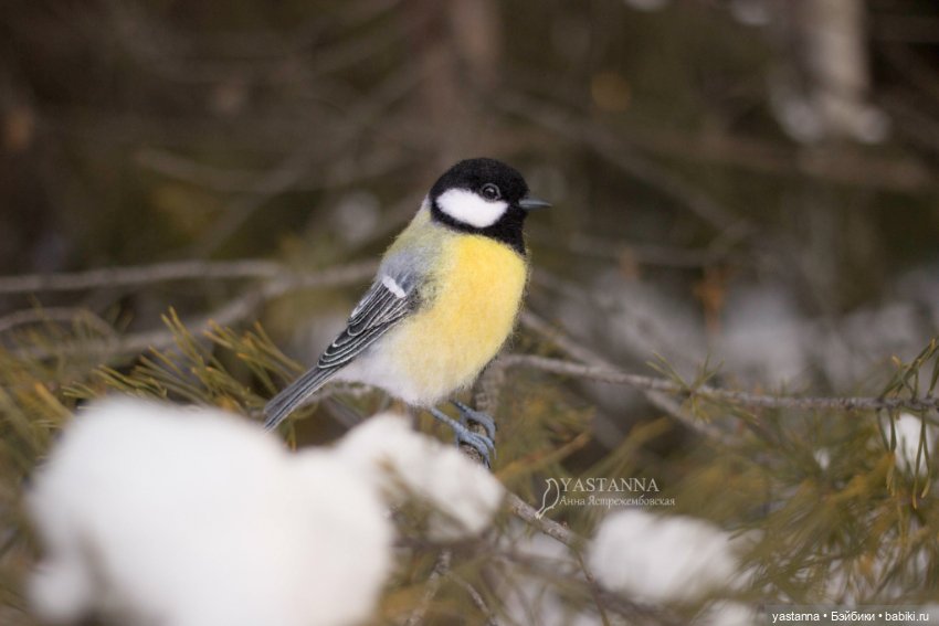 Птички — Валяные игрушки из шерсти: сухое валяние (фото 6)