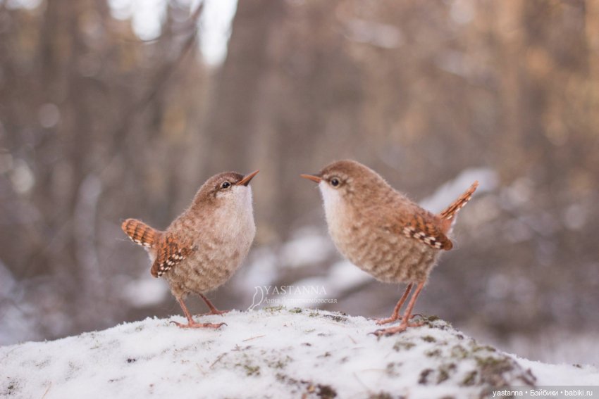 Птички — Валяные игрушки из шерсти: сухое валяние