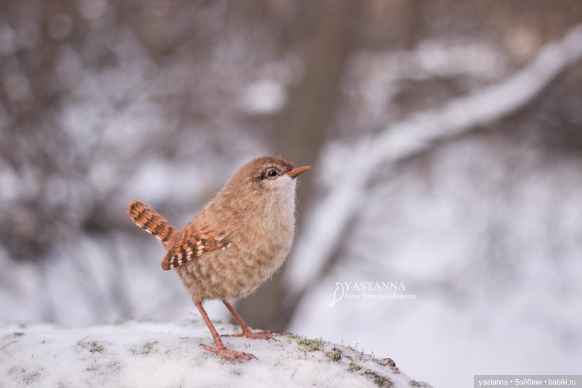 Птички — Валяные игрушки из шерсти: сухое валяние