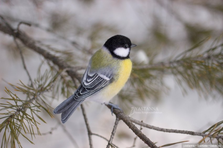 Птички — Валяные игрушки из шерсти: сухое валяние (фото 5)
