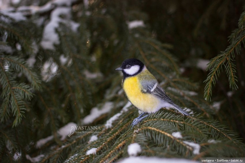 Птички — Валяные игрушки из шерсти: сухое валяние (фото 8)