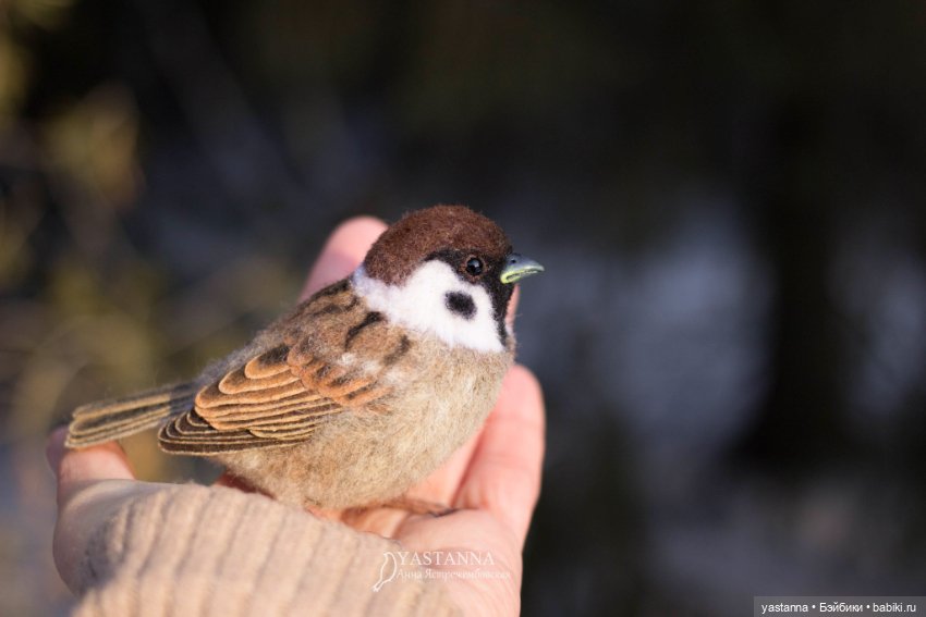 Птички — Валяные игрушки из шерсти: сухое валяние
