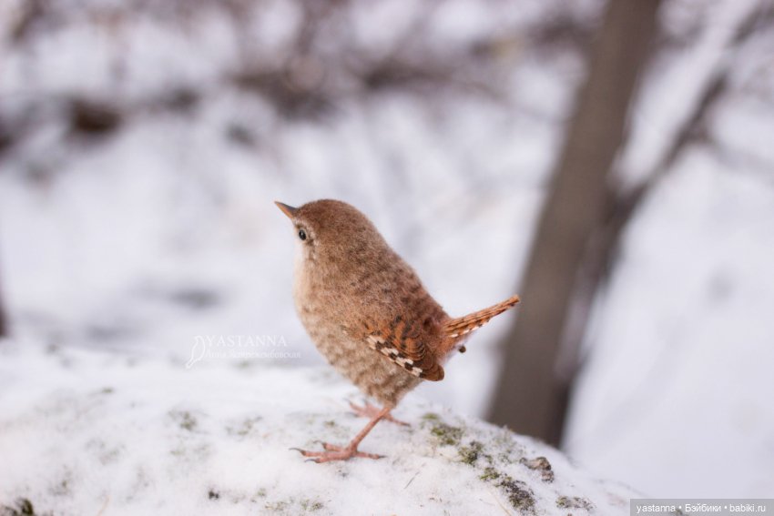Птички — Валяные игрушки из шерсти: сухое валяние