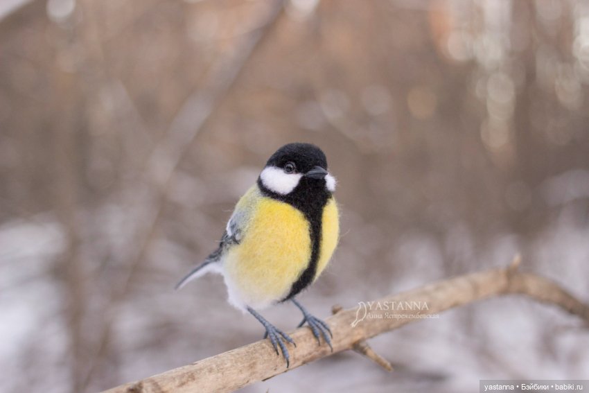Птички — Валяные игрушки из шерсти: сухое валяние (фото 2)