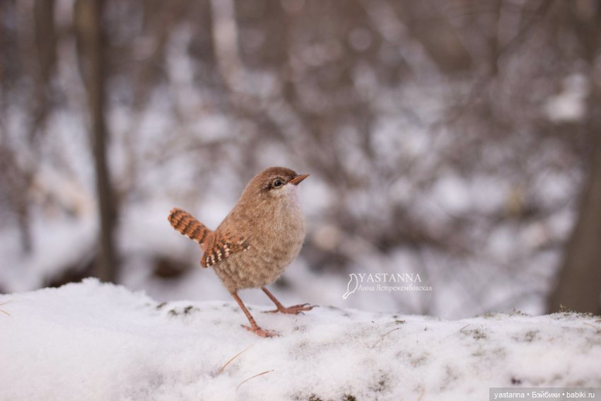 Птички — Валяные игрушки из шерсти: сухое валяние