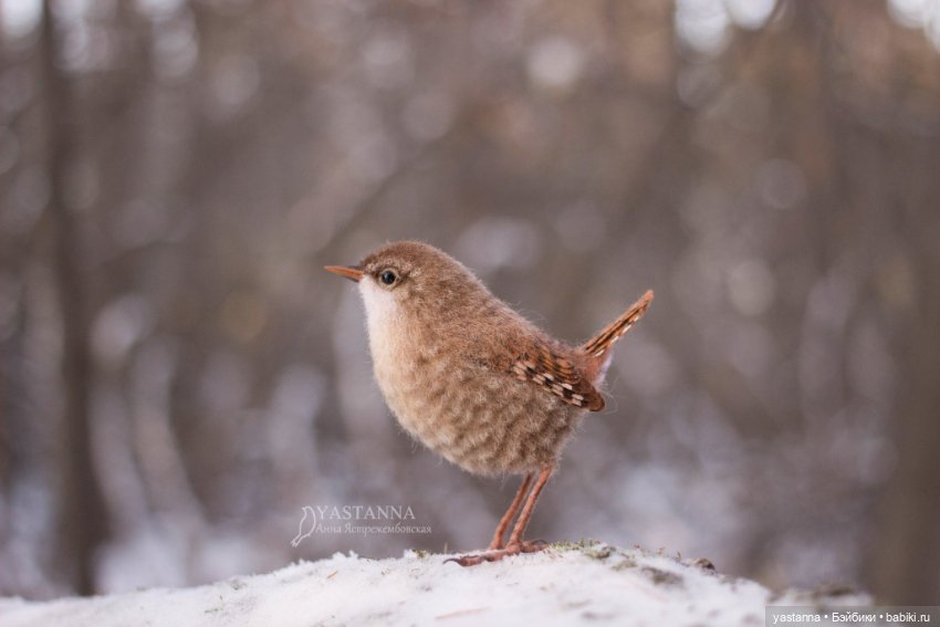 Птички — Валяные игрушки из шерсти: сухое валяние