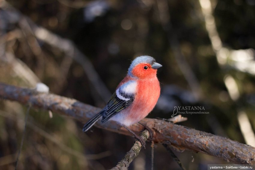 Птички — Валяные игрушки из шерсти: сухое валяние