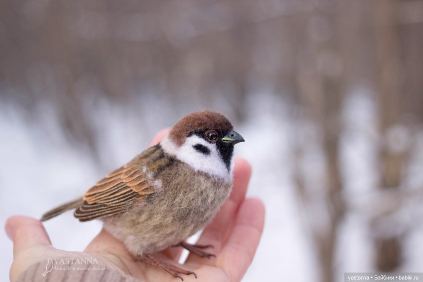 Птички — Валяные игрушки из шерсти: сухое валяние