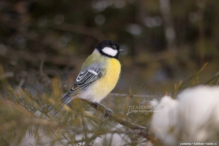 Птички — Валяные игрушки из шерсти: сухое валяние (фото 4)