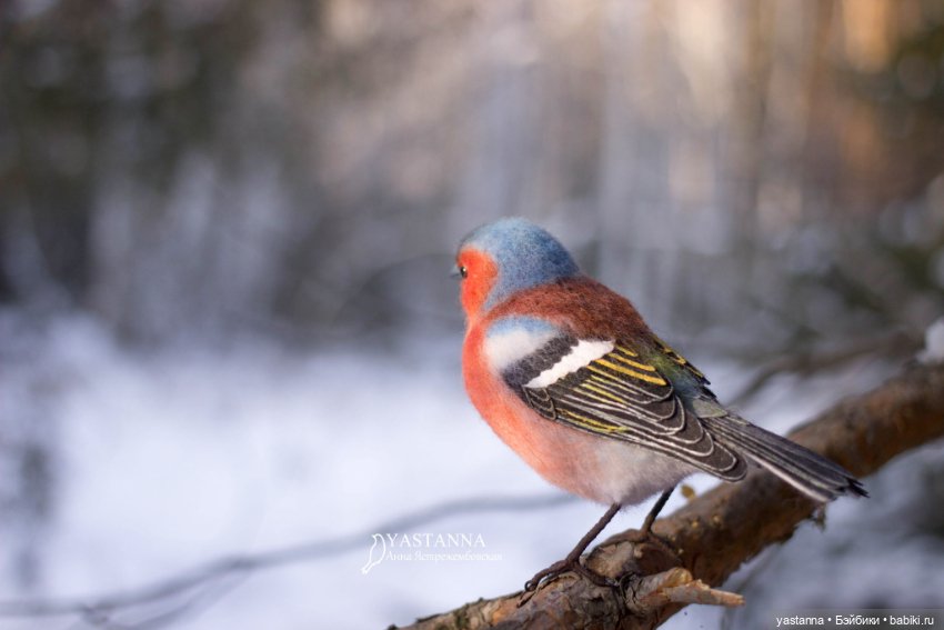 Птички — Валяные игрушки из шерсти: сухое валяние