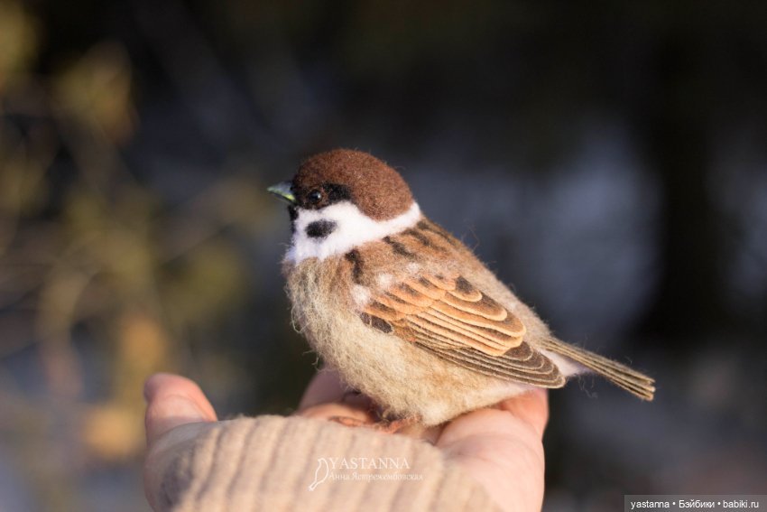 Птички — Валяные игрушки из шерсти: сухое валяние