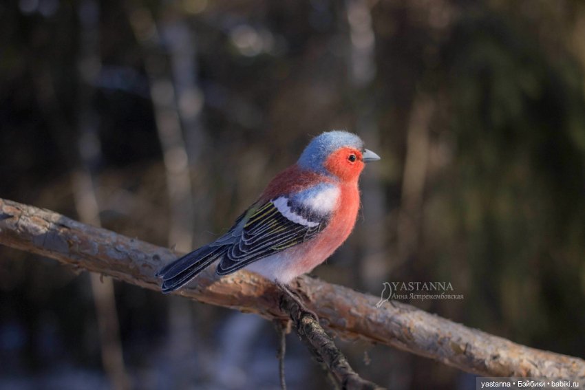 Птички — Валяные игрушки из шерсти: сухое валяние