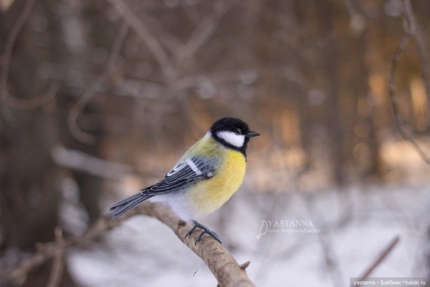 Птички — Валяные игрушки из шерсти: сухое валяние