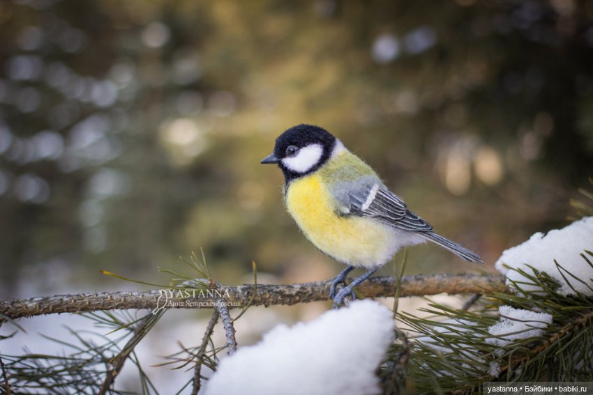 Птички — Валяные игрушки из шерсти: сухое валяние (фото 7)
