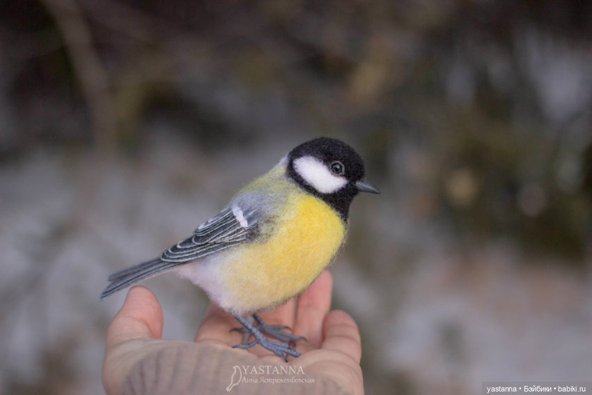 Птички — Валяные игрушки из шерсти: сухое валяние