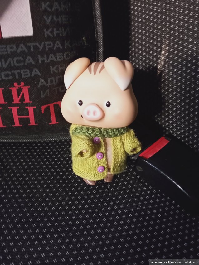 Мой любимый поросенок — Куклы Simontoys и Come4Free (Blind Box): Teennar (фото 9)