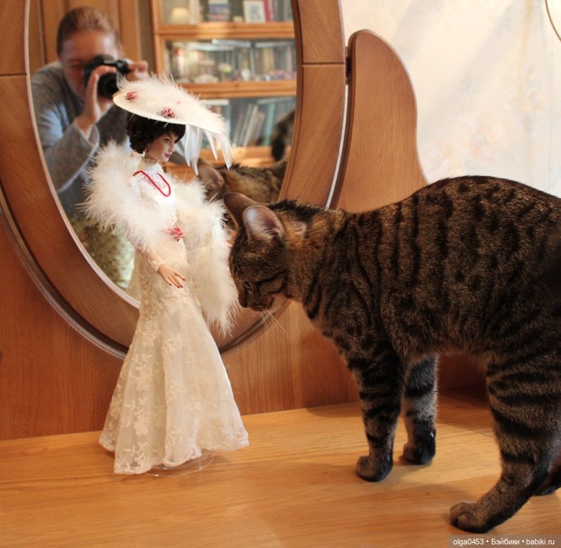Куклы и коты или всемирный день домашних животных