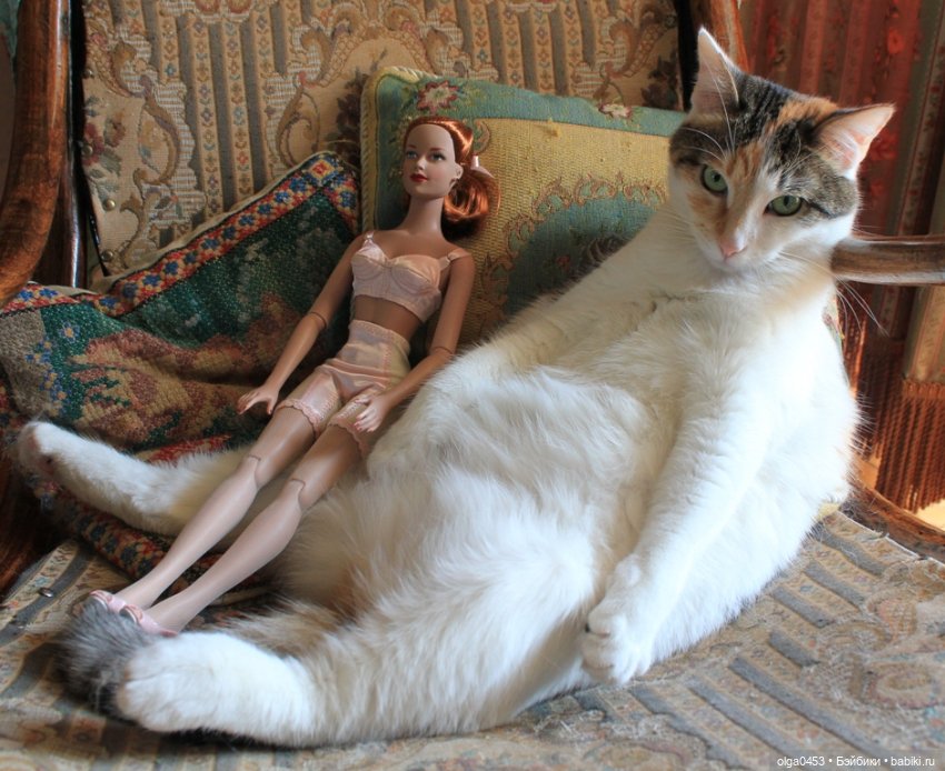 Куклы и коты или всемирный день домашних животных