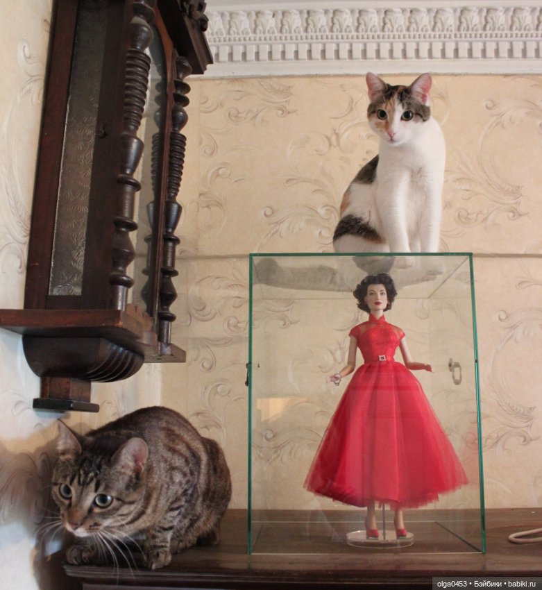 Куклы и коты или всемирный день домашних животных
